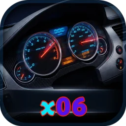x06
